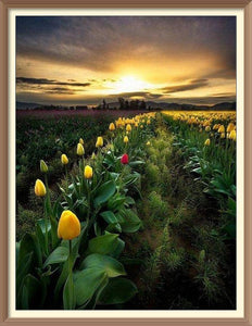 Tulips Flower Field - Diamond Paintings - Diamond Art - Paint With Diamonds - Legendary DIY  | Free shipping | 50% Off