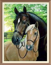 Horse Father and Pony - Diamond Paintings - Diamond Art - Paint With Diamonds - Legendary DIY  | Free shipping | 50% Off