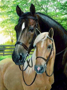 Horse Father and Pony - Diamond Paintings - Diamond Art - Paint With Diamonds - Legendary DIY  | Free shipping | 50% Off