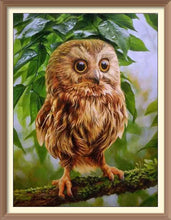 Berry Branch Owl - Diamond Paintings - Diamond Art - Paint With Diamonds - Legendary DIY - Best price - Premium - Free Shipping - Arts and Crafts