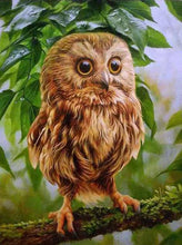 Berry Branch Owl - Diamond Paintings - Diamond Art - Paint With Diamonds - Legendary DIY  | Free shipping | 50% Off