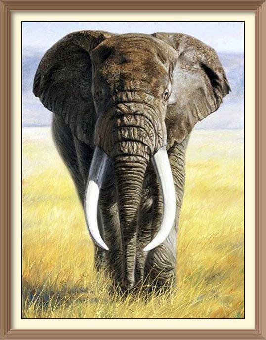 Old Elephant - Diamond Paintings - Diamond Art - Paint With Diamonds - Legendary DIY  | Free shipping | 50% Off
