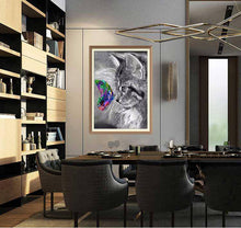 Colorful Butterfly on Kitty - Diamond Paintings - Diamond Art - Paint With Diamonds - Legendary DIY  | Free shipping | 50% Off